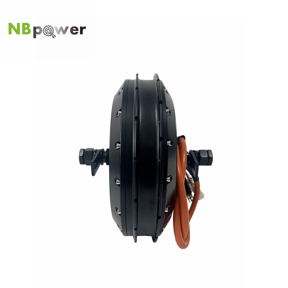 NBpower 18x22mmアクスル 40H QS 273 - Qs Motor 273 8000W Hub Motor のレビューと価格